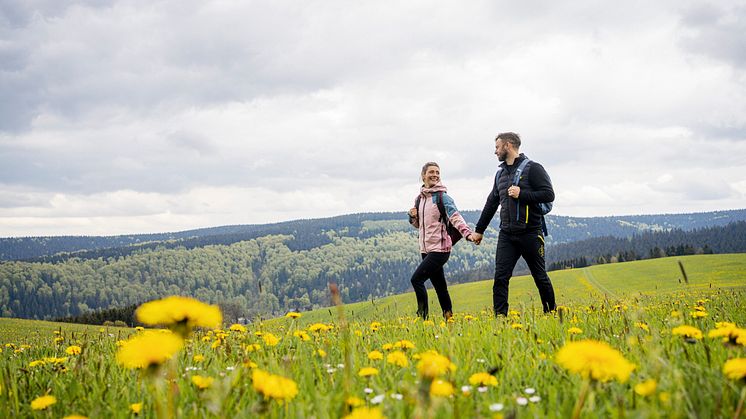 Kammweg Erzgebirge-Vogtland_Frühling_Foto TVE_Dirk Rückschloss.jpg