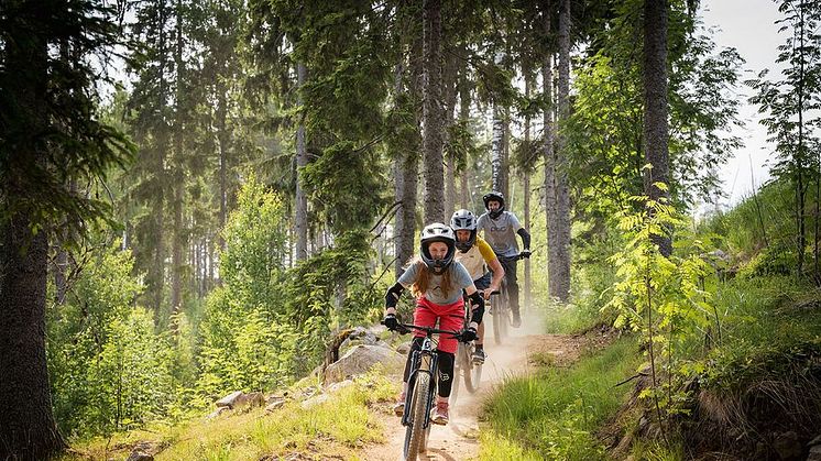 Förbättrade cykelleder inför sommarsäsongen – premiär den 21 juni