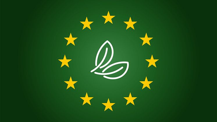 Tre grønne grunde til at stemme til Europaparlamentsvalget
