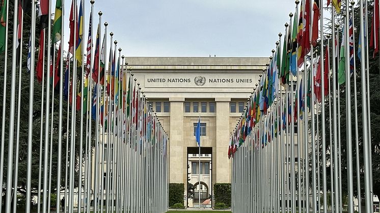 ICCO Calls for Urgent Action on Misinformation at UN