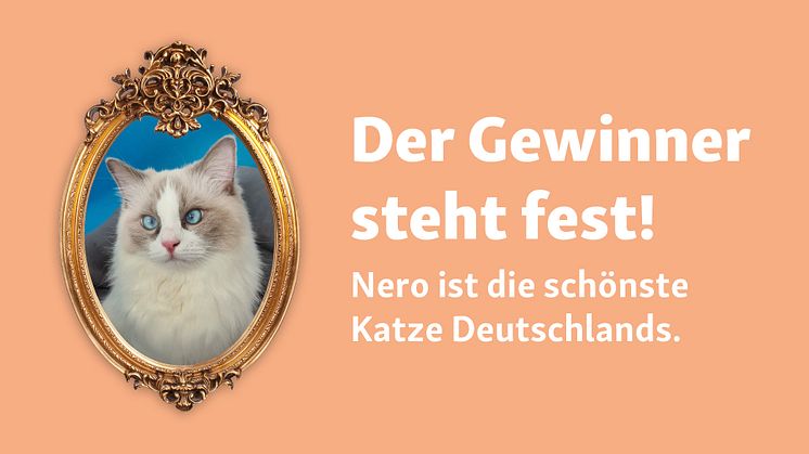 Die Fressnapf-Community hat entschieden: Kater Nero ist die schönste Katze Deutschlands