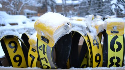 Tre år till med forskning om vilt och skog i Växjöområdet