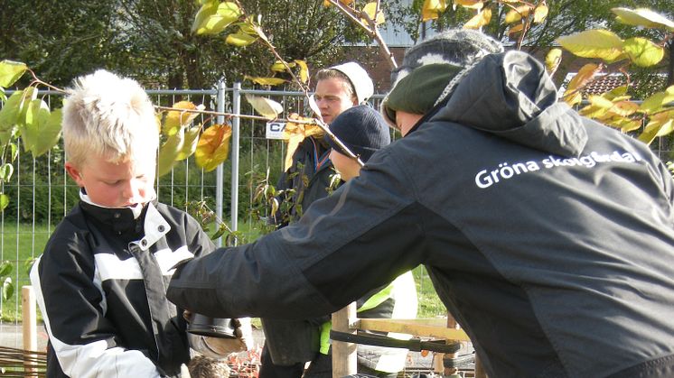 Gröna skolgårdar förvandlar grått till grönt