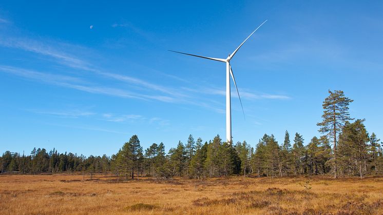 Ny undersökning om framtidens vindkraft.