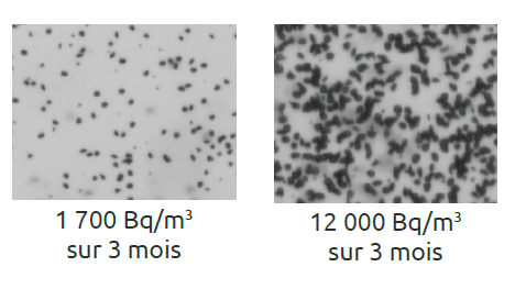 La plage de mesure d’un détecteur de radon, un facteur essentiel pour garantir une mesure fiable