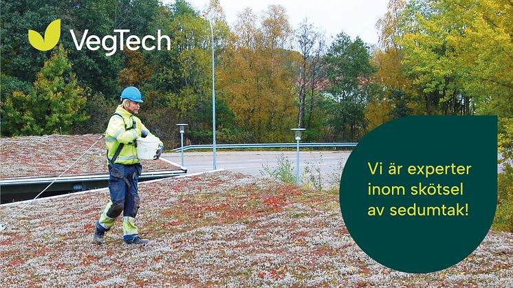 VegTech erbjuder serviceavtal för sedumtak