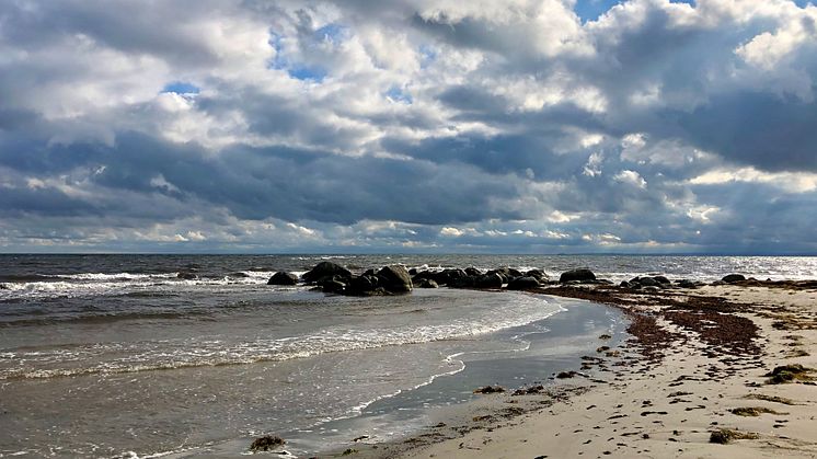 Nya projektet ”Biosphere for Baltic – Future Generations" ska engagera unga vuxna i biosfärområdena runt Östersjön. 