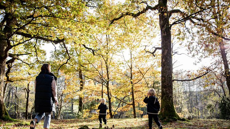 En familj upptäcker den vackra naturen i Falkenberg