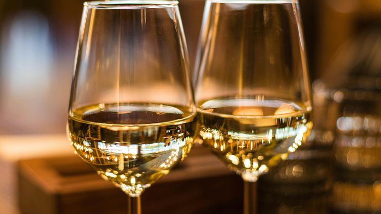 Udforsk den fortryllende verden af vin
