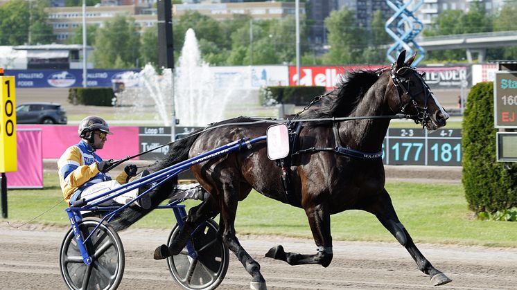 Mellby Jinx inbjuden till Åbergs
