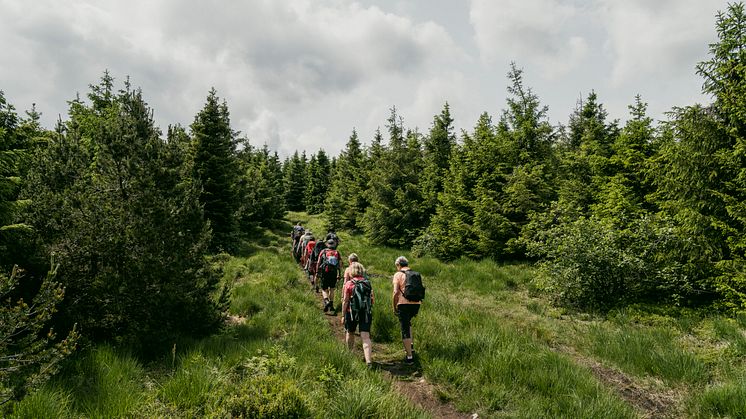 zum Tag des Wanderns gemeinsam die Region entdecken (Foto: TVE/Dirk Rückschloss)