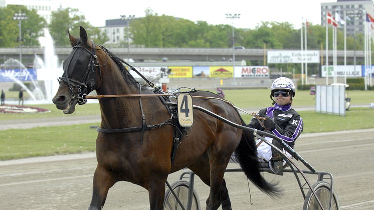 Västerbo Paradise till Solvalla