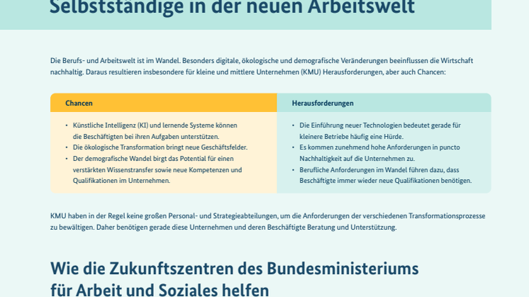 BMAS_ZZ_Factsheet.pdf