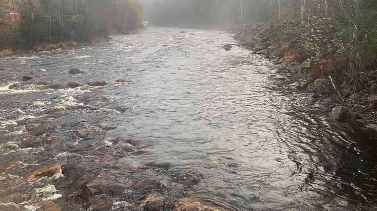 Fämtan, i norra Värmland, är ett av vattendragen som ingår i projektet.