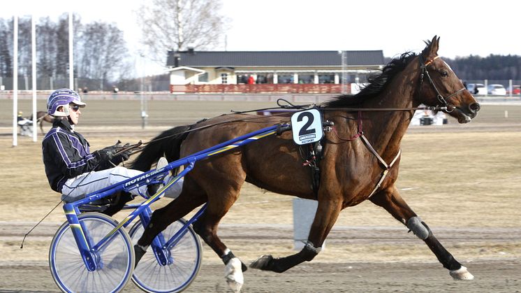De är Travets Talanger 2012