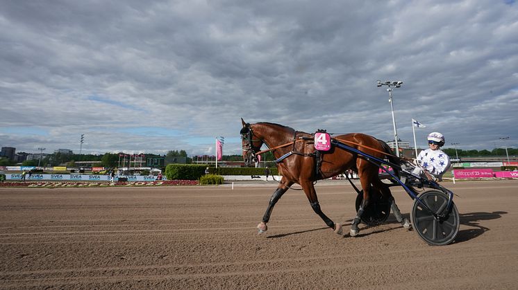 Tvåa förra året – nu kommer han tillbaka sista söndagen i maj. Go On Boy är den sjätte hästen att bli klar för årets upplaga av Elitloppet på Solvalla. Foto: TR Bild