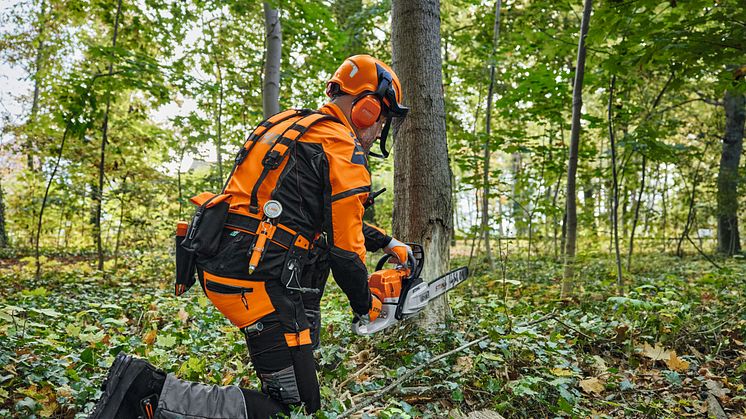 STIHL_ADVANCE_X-Flex_Hueftgurt_Anwendung.jpg