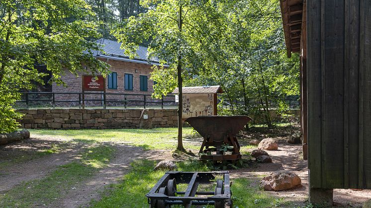 Rochlitzer Berg - Porphyrlehrpfad