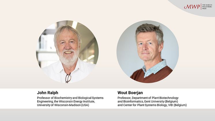 Conceptual framework and pioneering research for advanced understanding of lignin