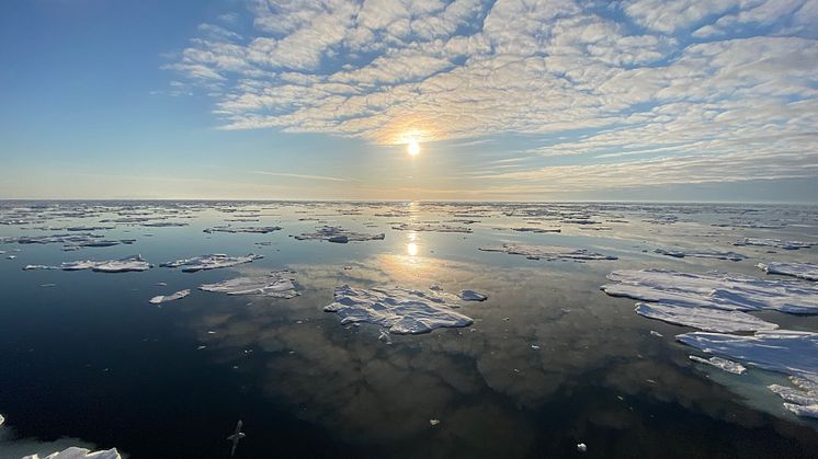 Foto: Frida Cnossen/Akvaplan-niva