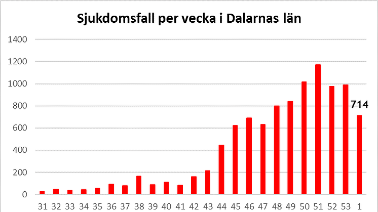 Länsstyrelsen informerar om läget i Dalarnas län 15 januari 2021
