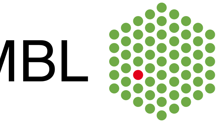 Logo European Molecular Biology Laboratory (EMBL)