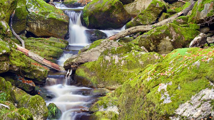 Spiegelau: Stone Gorge in the Bavarian Forest National Park ©  GNTB/Francesco Carovillano