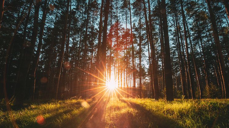 Oslo-Stockholm innebär stora nyttor för klimatet