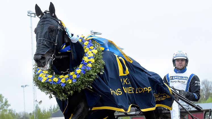 Gareth Boko klar för Elitloppet 2021. Foto: TR Bild