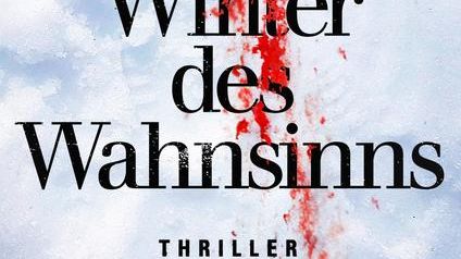 Cover_Winter des Wahnsinns_Web_Hoehe700.jpg