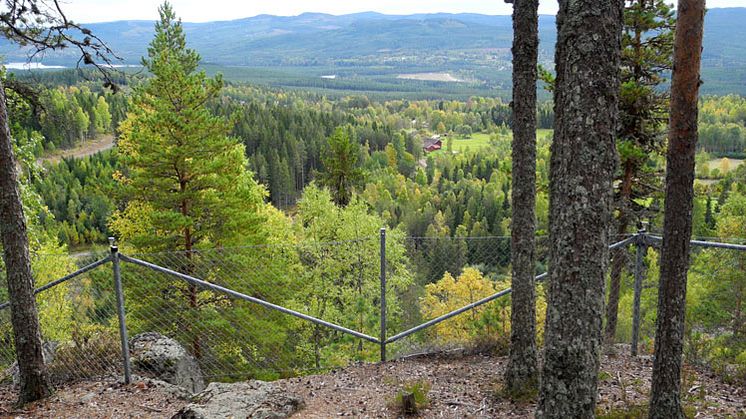 Friluftslivet i Blybergets naturreservat kretsar kring porfyrbrotten och de vackra utsikterna ovanför dessa. Foto: Länsstyrelsen