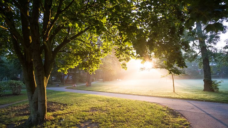 Lund kan bli Sveriges miljöbästa kommun 2018