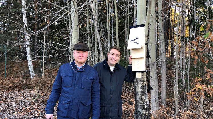 Henrik Lander (C) och Erik Nilsson (KD) slog ett gemensamt spikslag i en av de fladdermusholkar som ska sättas upp i nya stadsdelen.