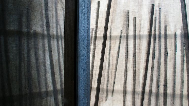 Masterutställning: Disa Rytt