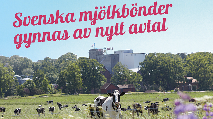 SIA Glass först ut: Köper mjölk direkt från svenska gårdar