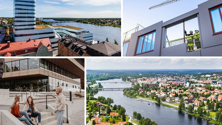 Överst från vänster: Fredrik Larsson, till höger: Johnér, nere till vänster: Matilda Audas Björkholm, nere till höger: Skellefteå kommun. 