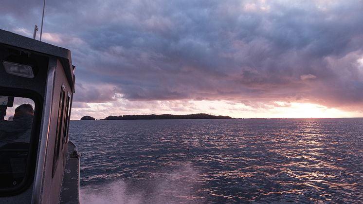 For at havbruk skal bli klimabestandig må vi både kutte våre klimagassutslipp  og iverksette effektive tilpasningstiltak slik at vi kan fortsette å levere sunn mat fra havet fremover, sier Wenche Grønbrekk..