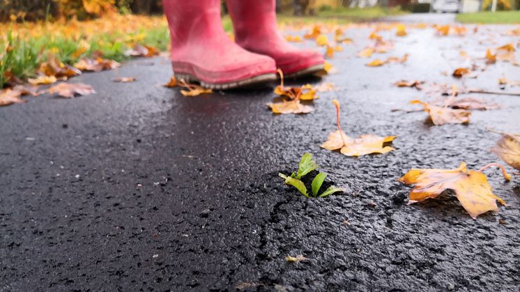 Företrädesemissionen i IsoTimber är registrerad hos Bolagsverket