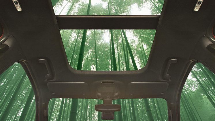 Bamboo-1