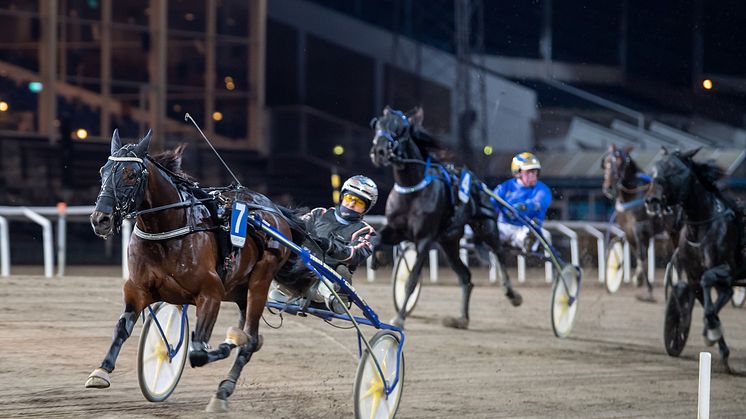 Fiftyfour och Ken Ecce är ett hemmahopp i Svensk Uppfödningslöpning. Foto: Mikael Rosenquist