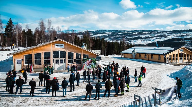 Ny karantenestasjon for kalver gir et løft for dyreflyten og smittesikkerheten i Geno