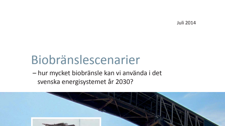 Biobränslescenarier – hur mycket biobränsle kan vi använda i det svenska energisystemet år 2030?