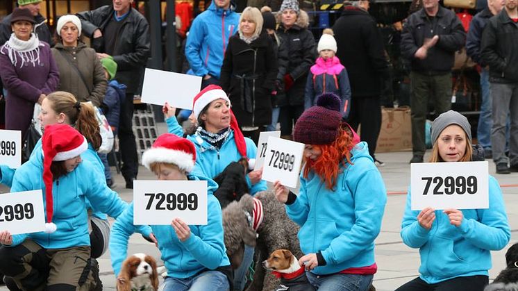 Deltagare i hundflashmob i december 2013