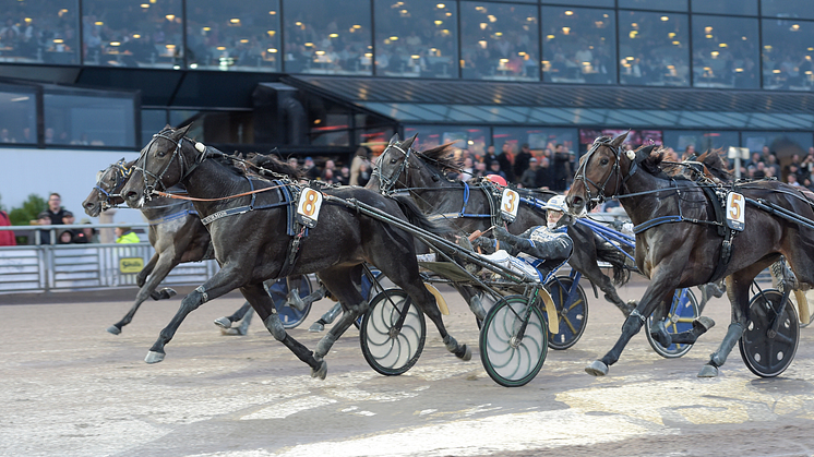 Adriatica och Magnus A Djuse segrade i Svenskt Travoaks. Foto: TR Bild