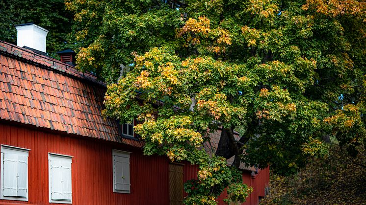 Räntesänkningar skapar fler affärer på bostadsmarknaden men priserna är fortsatt stabila - Kommentar till Svensk Mäklarstatistik