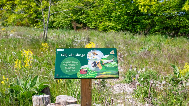 I Nyttodjurparken på Kiviks Musteri kan man lära sig mer om hur man på ett enkelt och billigt sätt som privatperson kan gynna den biologiska mångfalden.