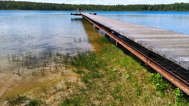 Bei Touristen beliebt: Natur und Ruhe in Brandenburg - hier beispielsweise am Grünheider Störitzsee im Seenland Oder-Spree. Foto: Gemeinde Grünheide (Mark). 