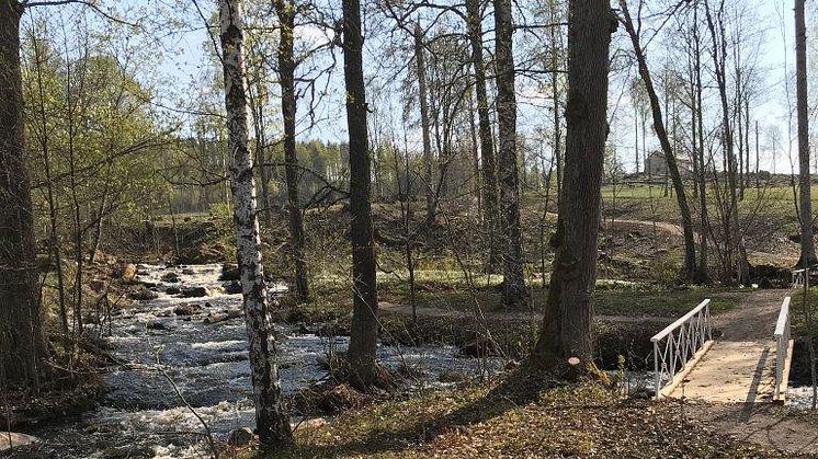 Pressinbjudan: Välkommen på invigning av nyrestaurerade Engelska parken i Kloster