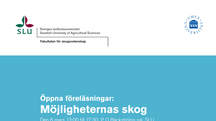 Program Möjligheternas skog