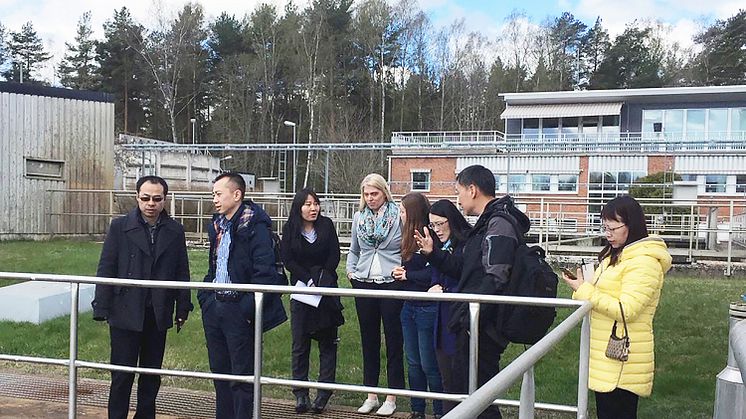 Många utländska grupper söker sig till bl a Dalarna för att lära mer om hållbara och klimatsmarta miljöer.